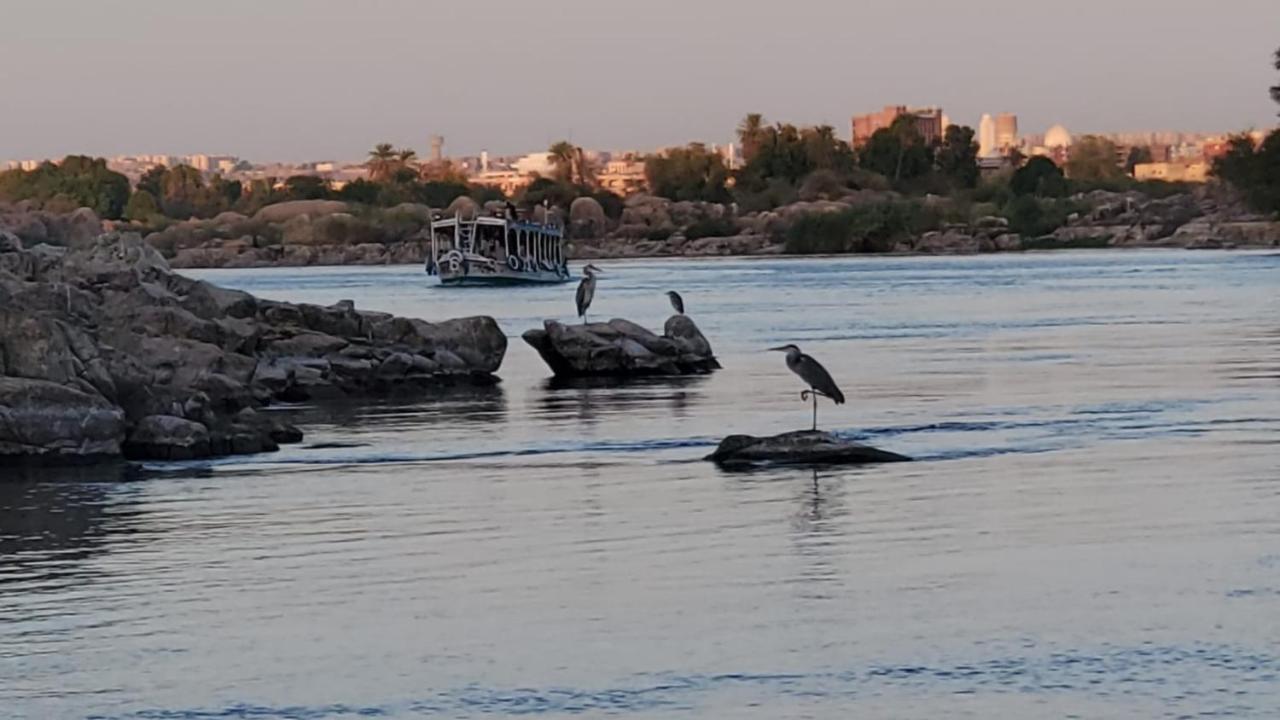 Adad Noubian House Villa Aswan Eksteriør bilde