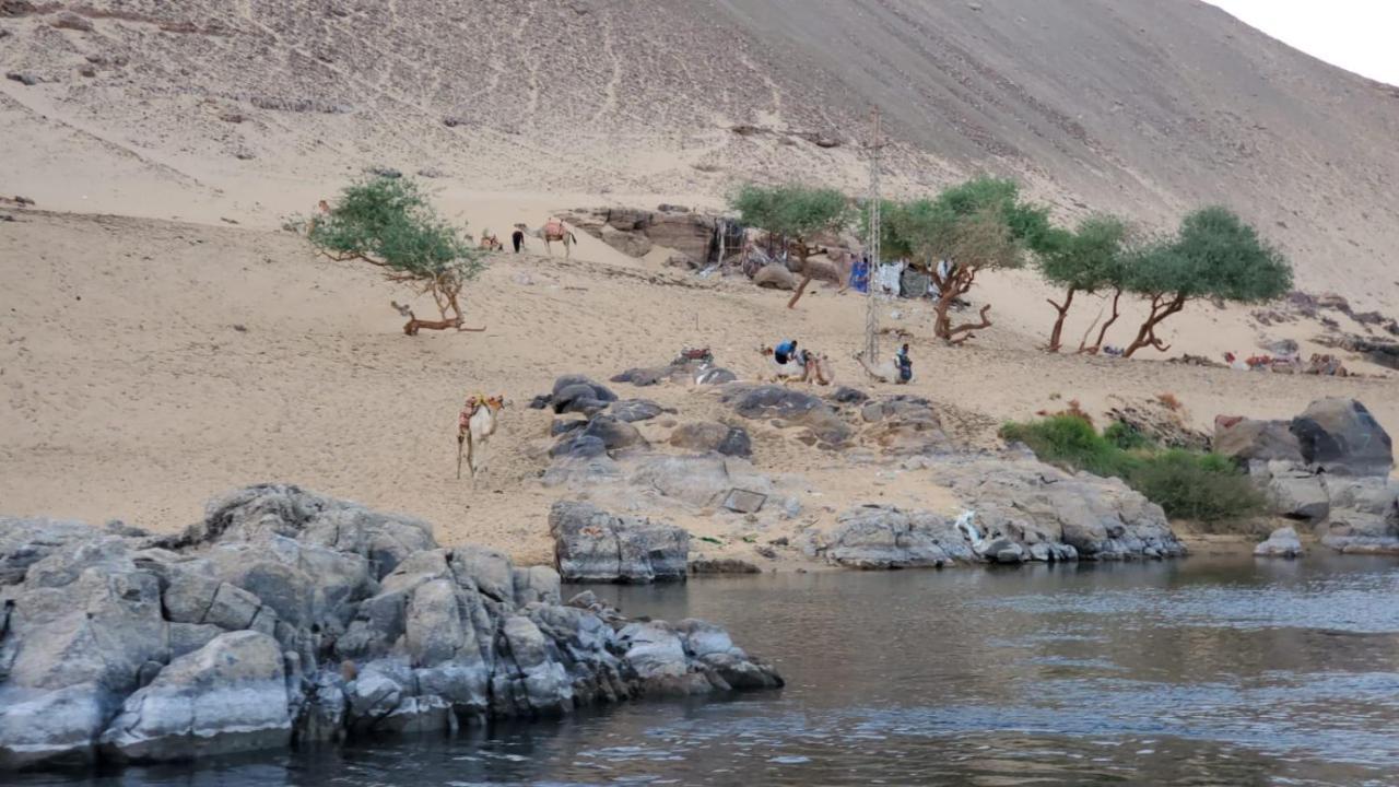 Adad Noubian House Villa Aswan Eksteriør bilde